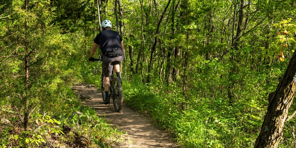 Der Gemeinderat Eschenbach hat im Grundsatz keine Einwände gegen die Änderungen der kantonalen Mountainbike-Strategie. (Symbolbild)