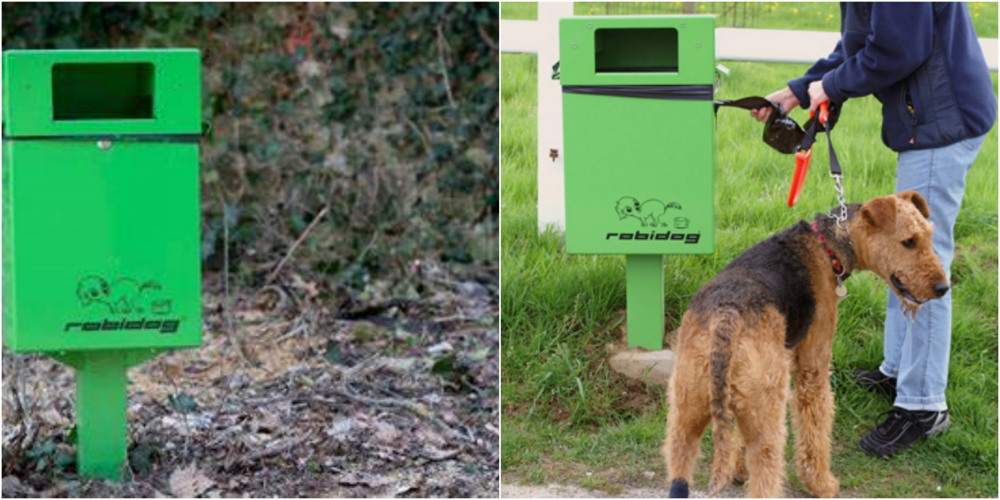 Mit der Dog Toilets App finden Sie schnell und einfach die nächste Hundetoilette. (Symbolbild)