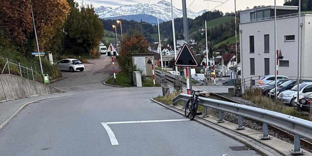 Der Velofahrer stürzte über die Leitplanke und kam auf dem Bahntrasse zu liegen.