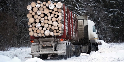 Wegen der Gewichtsbeschränkung auf der Weesner Höfenstrasse benötigt der Holztransport mehr Fahrten, die zu Mehrkosten führen. (Themenbild)