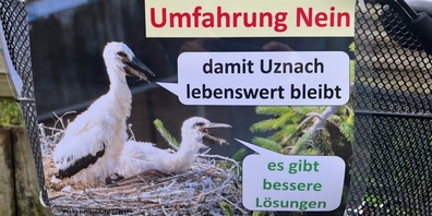 Schild mit Jungstörchen für ein Nein bei der Uzner Abstimmung über die Umfahrung A15-Gaster.