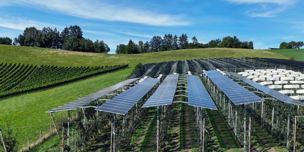 Die Pilotanlage steht in Frick AG: Über einer Niederstamm-Apfelplantage sind Solarpanels installiert worden. Der Versuch soll zeigen, ob das Projekt auch Vorteile für die landwirtschaftliche Produktion bringt.