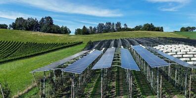 Die Pilotanlage steht in Frick AG: Über einer Niederstamm-Apfelplantage sind Solarpanels installiert worden. Der Versuch soll zeigen, ob das Projekt auch Vorteile für die landwirtschaftliche Produktion bringt.