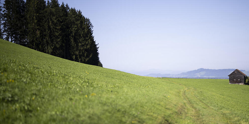Die Eggersrieter-Höhe gehört zu den Gebieten mit PFAS-belasteten Böden. (Archivbild)