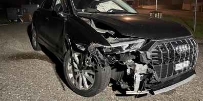 Der Lenker war in fahrunfähigem Zustand unterwegs.