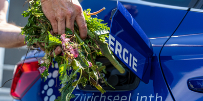 Das Gas an den Tankstellen im Einzugsbereich von Energie Zürichsee Linth ist zu 100% biologisch und wird jetzt noch günstiger.