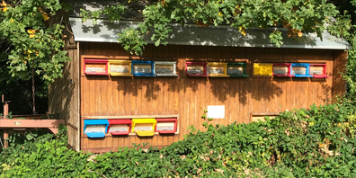 Der Bienenwagen von Bruno Reihl in Pfäffikon. (Bild zvg)
