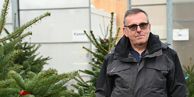 Marcel Kessler inmitten seiner Christbäume.