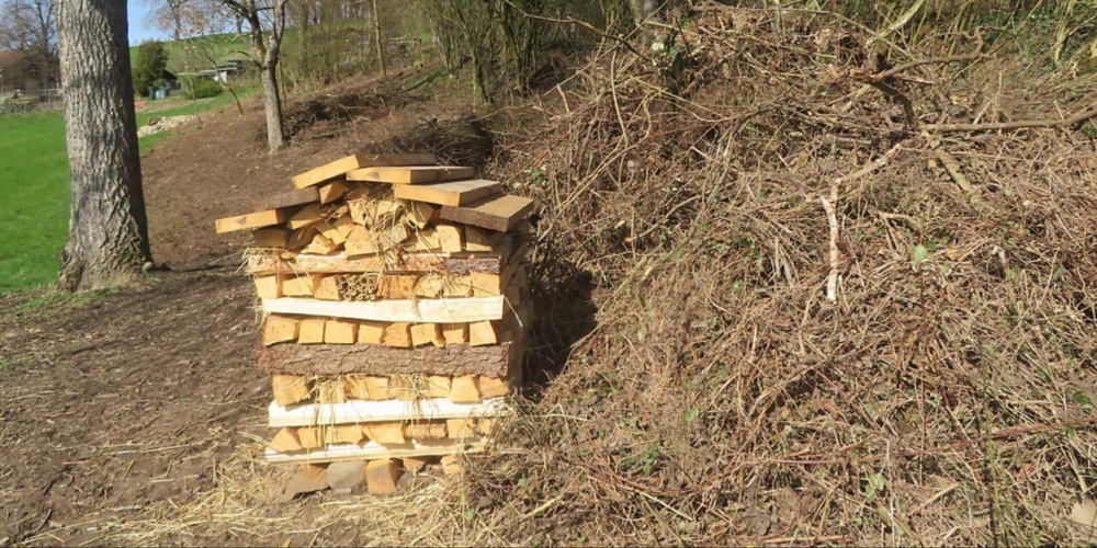 Holzbeige als Strukturelement für Insekten.
