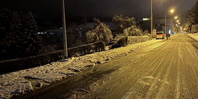 Der Fahrer fuhr weiter, ohne sich um den Schaden zu kümmern.
