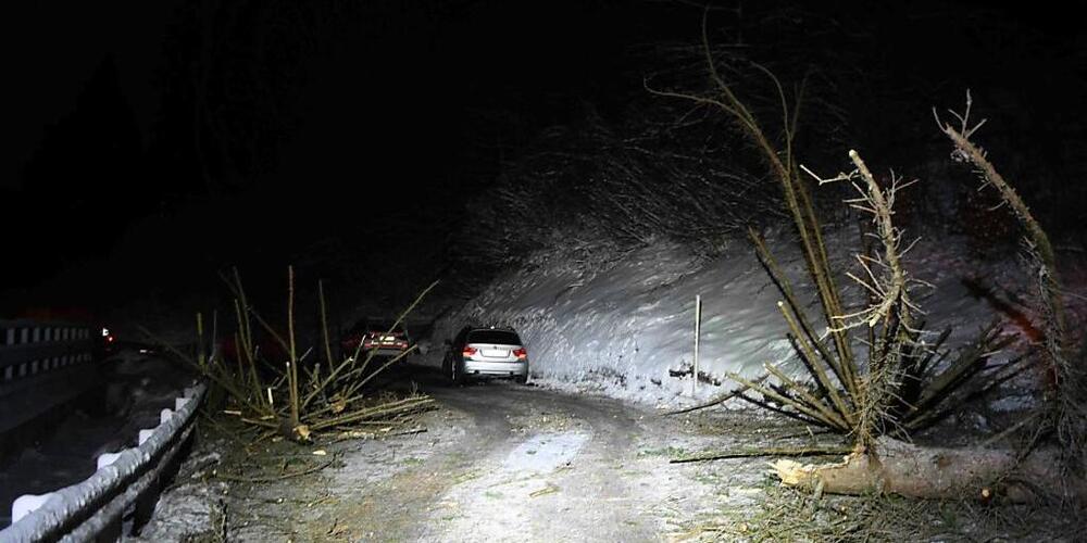 Baum stürzte in Chur auf fahrendes Auto.