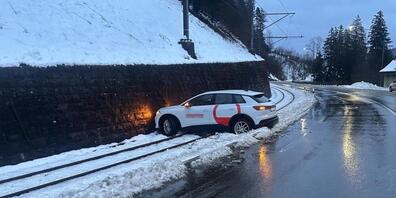 Rund anderthalb Stunden lang konnten die Appenzeller Bahnen wegen dieses Vorfalls die Unfallstelle nicht passieren.