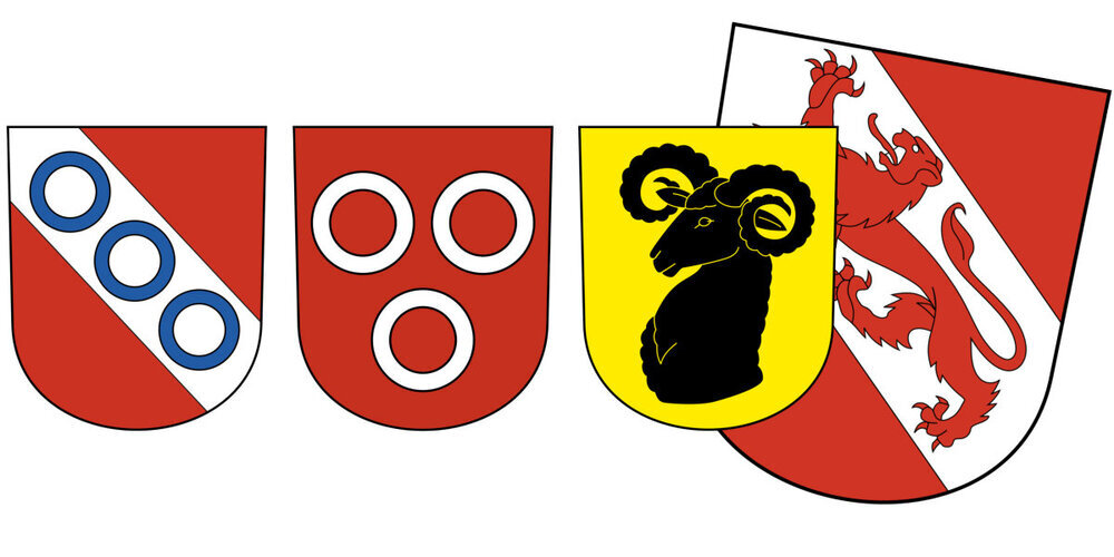 Die Wildberger sagen klar Ja für eine Vertragsausarbeitung zur Fusion mit Pfäffikon.