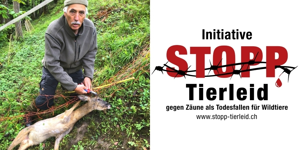 Im vergangenen Monat musste Komitee-Präsident Peter Weigelt (li.) in seinem eigenen Revier zwei Rehböcke aus Weidenetzen herausschneiden, einer davon war bereits tot.