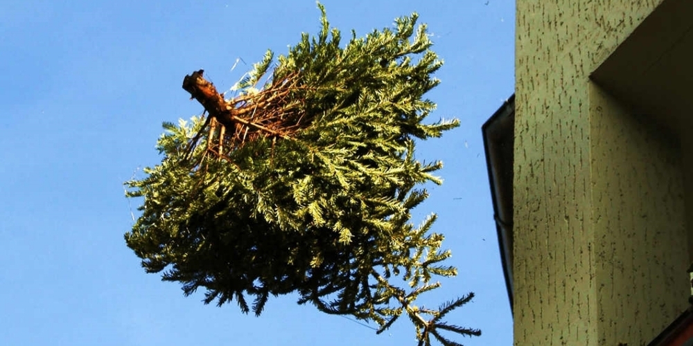Weg mit dem Christbaum nach Weihnachten. Aber wohin? – In Kaltbrunn werden sie eingesammelt.
