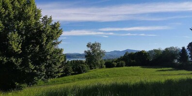 Auf dieser Wiese mit Aussicht entsteht in Pfäffikon ein neuer Pumptrack. (Bild Patrizia Baumgartner)