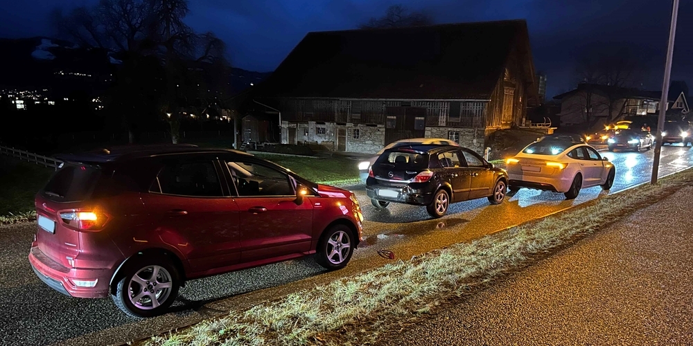 Der Lenker des hintersten Autos fuhr in das Heck des Autos vor ihm, wodurch dieses ins Heck des vordersten Autos prallte.