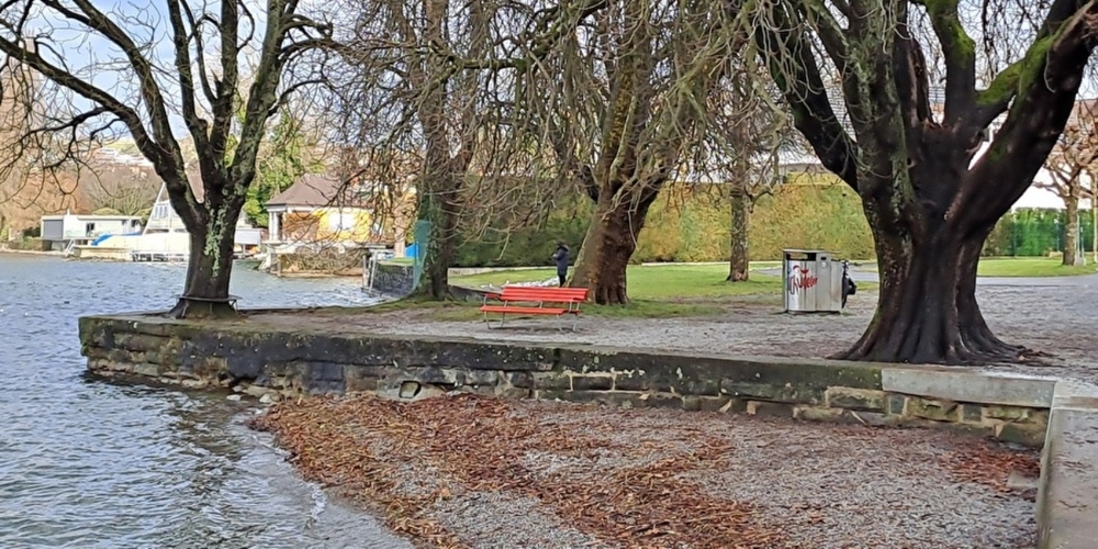 Die teils historischen Uferverbauungen entlang der Bühlerallee in Rapperswil benötigen wegen Schäden und Unterspülungen eine Erneuerung.