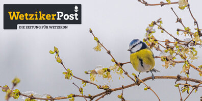 Die Vögel zwitschern es schon von den Bäumen: Am 14. Februar erscheint die erste Wetziker Post vom neuen Jahr.