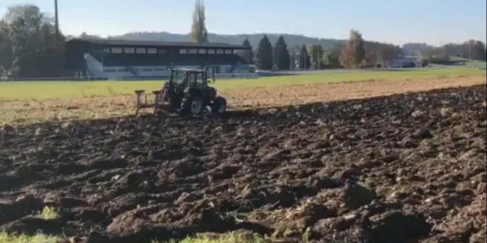 Ob hier je wieder Pferde galoppieren. Der Bauer beansprucht das Land für den Ackerbau.