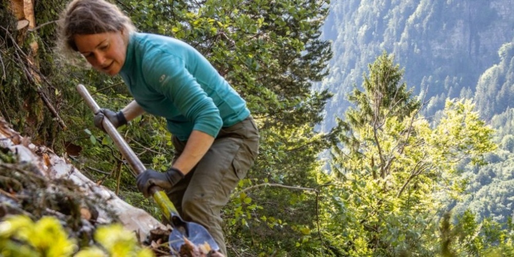 Die Freiwilligen leisten einen grossen Dienst für die Bergwaldprojekte. (Symbolbild)
