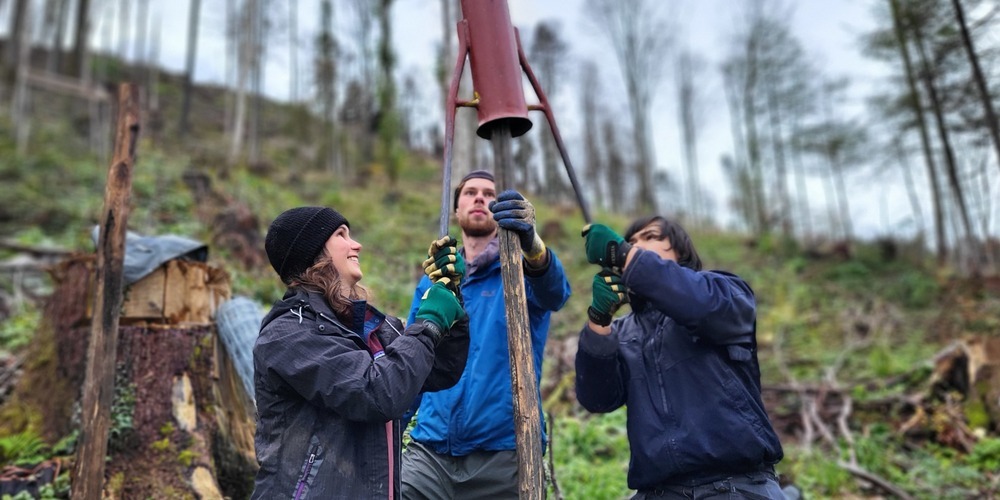 Freiwillige helfen beim Bergwaldprojekt mit