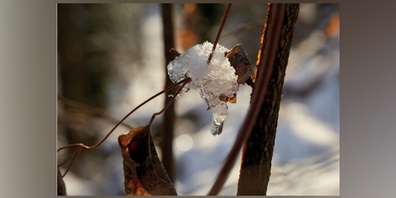 Winterbild.