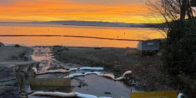 Beim Einfluss des Dorfbaches in den Bodensee wurden Öl-Schwimmsperren errichtet.