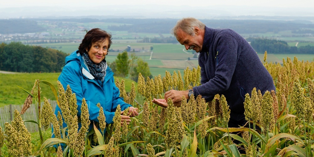 Rosmarie und Peter Zimmermann betreiben einen 2'000 m2 grossen Weltacker in Attiswil BE. Am 3. Februar stellen sie das Projekt in Uster vor.