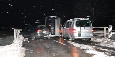 Bei einem Unfall auf der Kriessnerstrasse in Altstätten wurde ein Pferd leicht verletzt