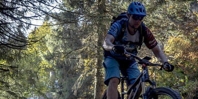 Das Zuger Stimmvolk hat sich deutlich für das neue Waldgesetz ausgesprochen und schränkt damit das Biken in den Zuger Wäldern ein. (Symbolbild)