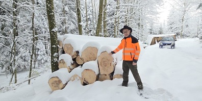 Revierförster Bruno Cozzio zeigt frisch geschlagenes Holz vom Hummelberg im Klosterwald, Wilen bei Wil. Bruno Cozzio: "Fichten und Tannen sind als Bauholz bei den regionalen Sägereien sehr gefragt."