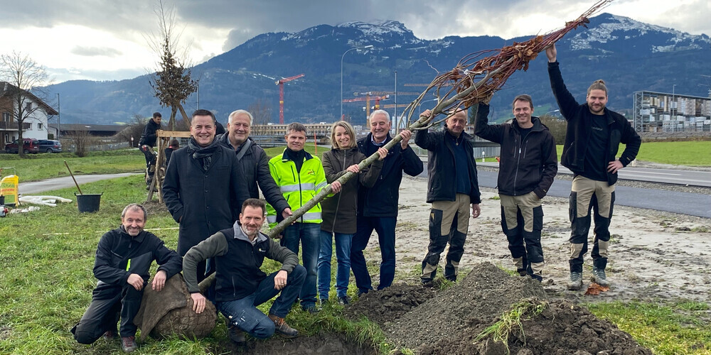 Vertreter des Vereins «Bäumiges Altstätten», der Stadt Altstätten, des Kantons und der Karl Zünd Stiftung mit den ausführenden Gärtnern.
