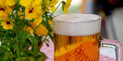 Die Aussage «Bier ist isotonisch» hält sich hartnäckig unter Sporttreibenden. Das stimmt nur bedingt. (Symbolbild)