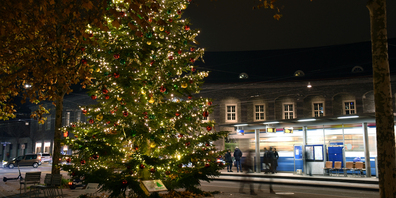 Macht etwas her, der Weihnachtsbaum auf dem Tessinerplatz in der Enge.
