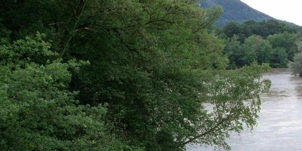 Im Wasserkanton Aargau sollen unter anderem mehr Feuchtgebiete zur Sicherung und Stärkung der Biodiversität geschaffen werden. Das Bild zeigt die Mündung der Reuss in die Aare in Windisch AG. (Archivbild)