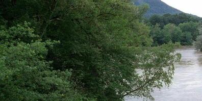 Im Wasserkanton Aargau sollen unter anderem mehr Feuchtgebiete zur Sicherung und Stärkung der Biodiversität geschaffen werden. Das Bild zeigt die Mündung der Reuss in die Aare in Windisch AG. (Archivbild)