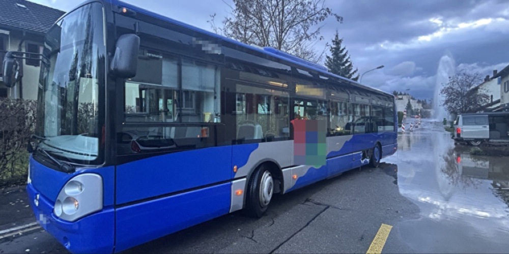 Der Chauffeur übersah den Hydranten.