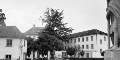Bis 1981 wurden auch im Kanton Zürich Menschen «administrativ versorgt».Im Bild die Brücke zur «kantonalen Heil- und Pflegeanstalt» im Kloster Rheinau.