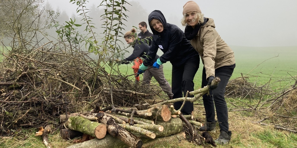 Die Schaffung von Kleinstrukturen wie Wieselburgen und Asthaufen dient der geschützten Jungenaufzucht (Freiwillige an einem Natureinsatz 2024 im St.Pelagiberg TG)