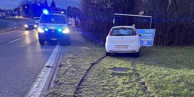 Ein Ausweichmanöver eines 22-jährigen Autolenkers endete in einer Werbetafel.