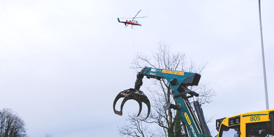 Um die verbleibenden Bäume so wenig wie möglich zu schädigen, wurden am 26. Februar 2025 einige Bäume mit Helikopterunterstützung gefällt