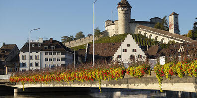 Der Kanton Schaffhausen will der Stadt kein Geld für Zentrumslasten mehr geben. Der Stadtrat wehrt sich dagegen, die Stadt trage Lasten in Millionenhöhe (Archivbild)