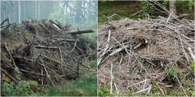 Schlagabraum. (Symbolbild)