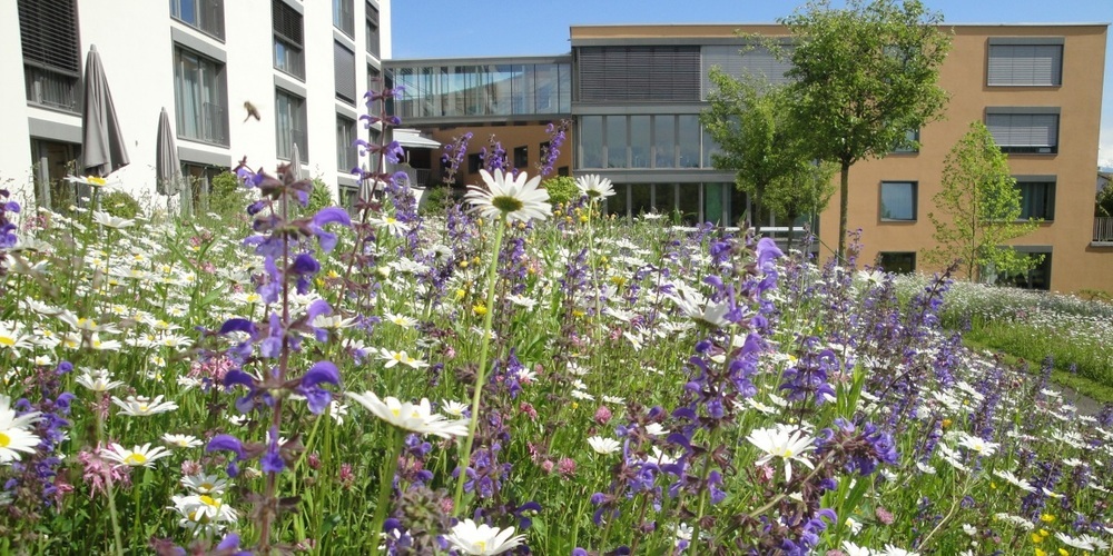 Die Verselbständigung des Zentrums Breitenhof ist von grossem öffentlichen Interesse. 