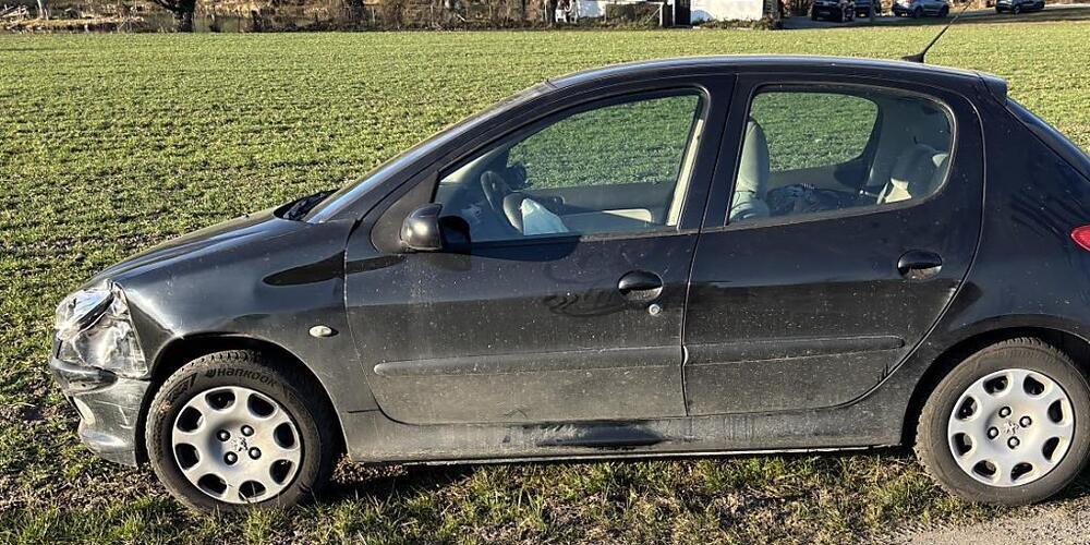 Der Lenker liess sein Fahrzeug nach einem Selbstunfall in Thundorf TG zurück.