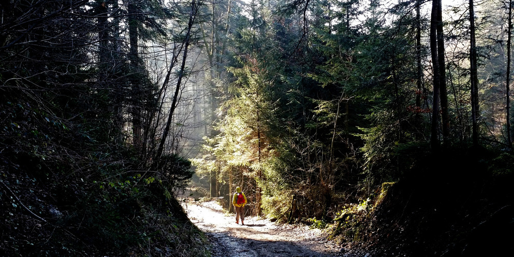 Auf dem Jakobsweg zwischen Herisau und St.Peterzell