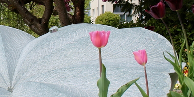 Frühe und spätere Verluste: Immer ist es schwer. (Symbolbild)