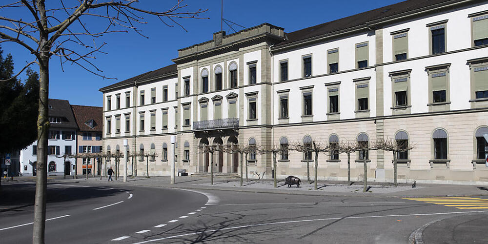 Der Thurgauer Regierungsrat hat den Auftrag für eine neue Steuerlösung vergeben. (Archivbild)