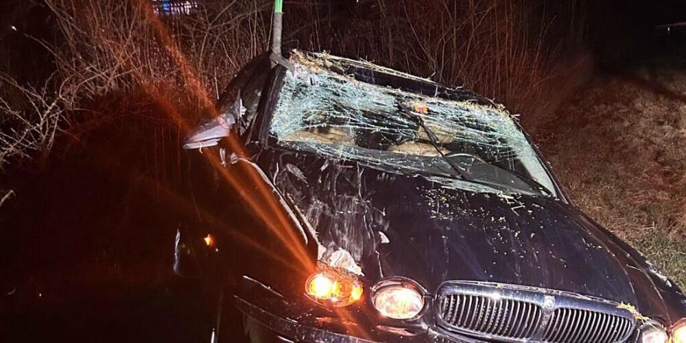 Der total beschädigte Jaguar wird aus dem Gestrüpp neben der A3-Ausfahrt bei Frick AG geborgen.